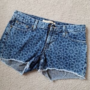 Big Star Denim Shorts
